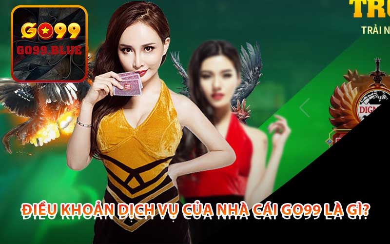 Điều khoản dịch vụ của nhà cái Go99 là gì?